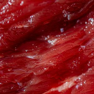 Close de carne bovina crua